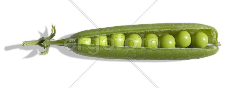 Стручок гороха спелый