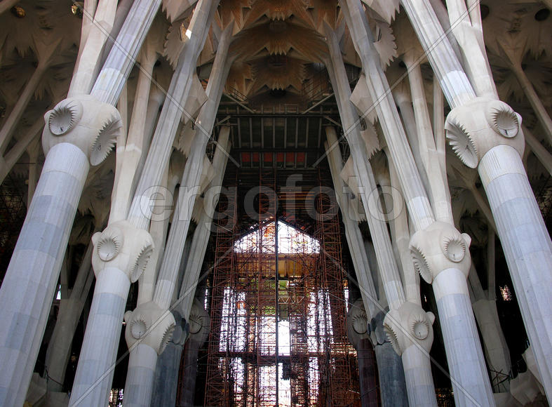 Чёрная вдова. Паучье логово.