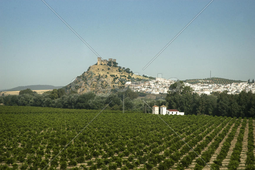 Страна маркиза Карабаса