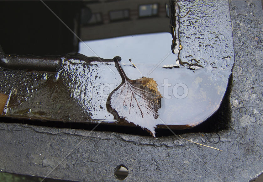 Выпавший из окна