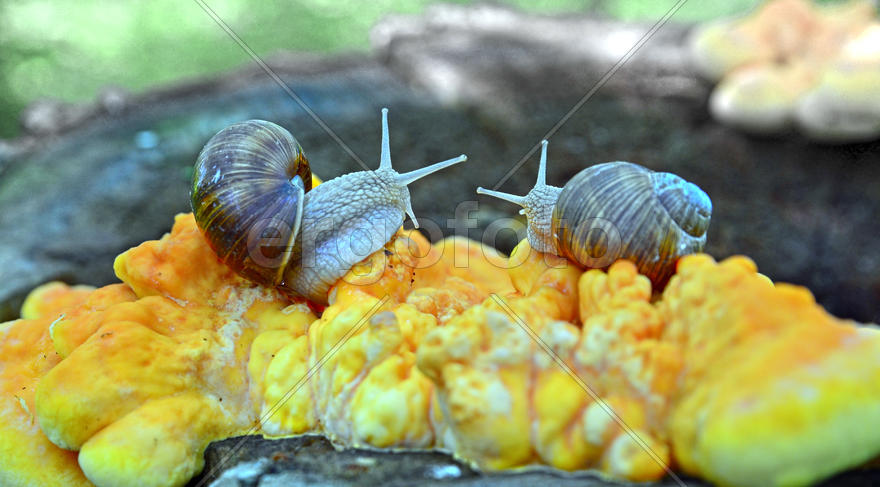 На завалинке...