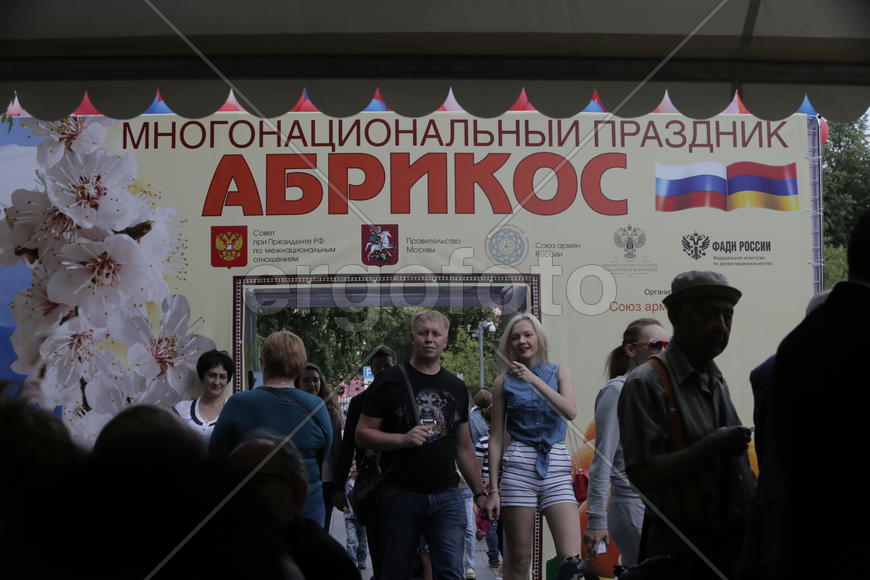 Праздник "Абрикос" в парке Музеон, 10 июля 2016 года. 