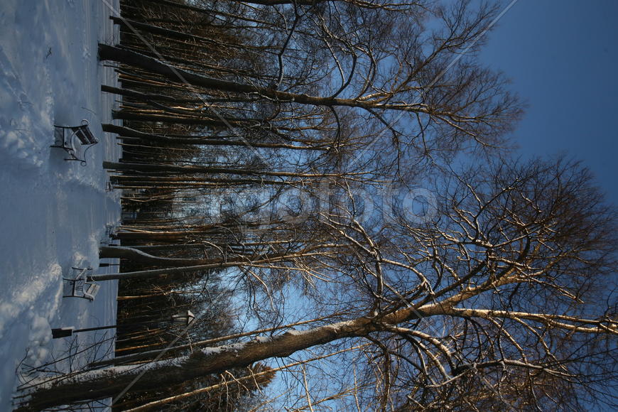 Музей-усадьба Абрамцево 36