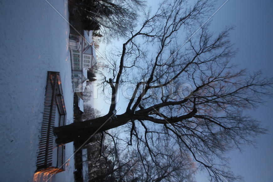 Музей-усадьба Абрамцево 23