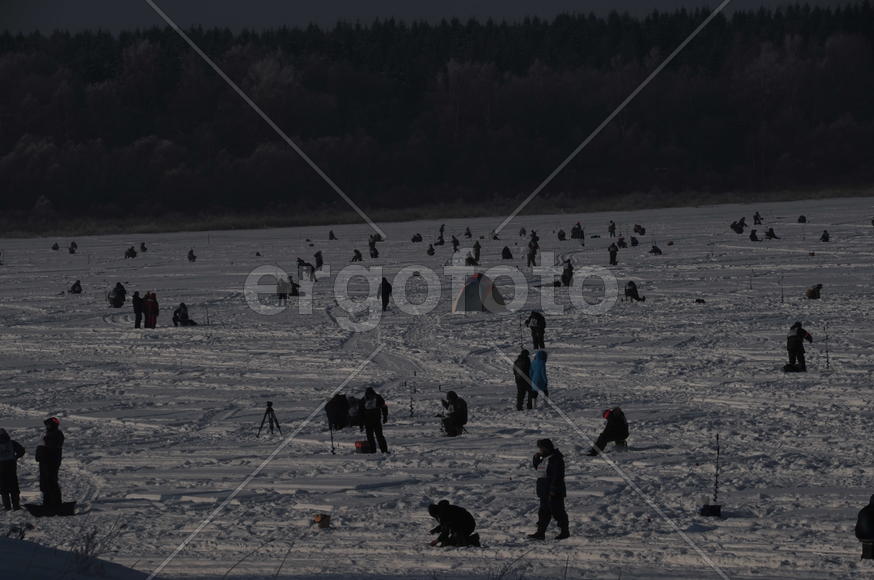Конкурс Народная рыбалка в Подмосковье 6