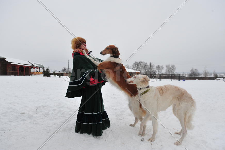 Реконструкция конной охоты с тремя борзыми и одной гончей в клубе Аванпост. фйото Сергей Шахиджанян 