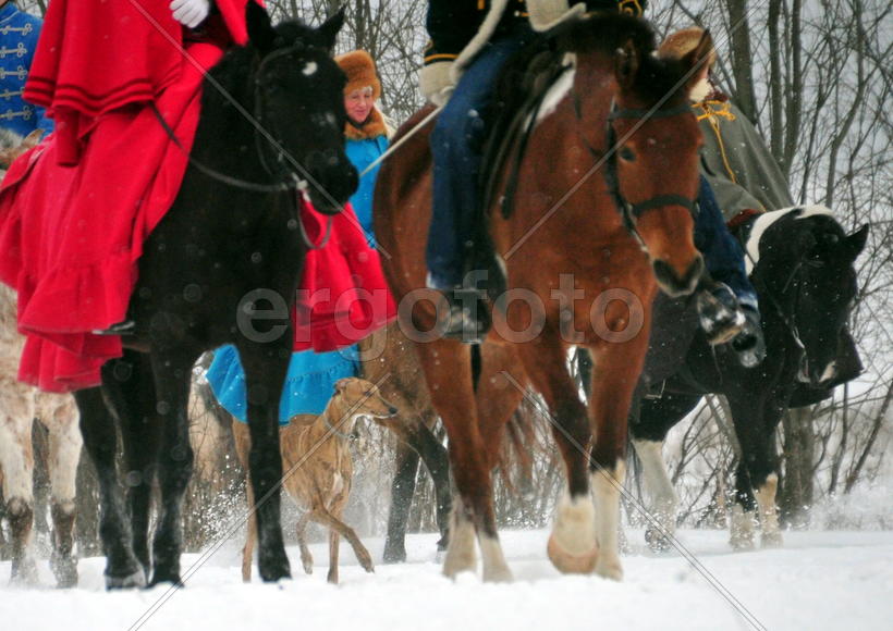 Реконструкция конной охоты с тремя борзыми и одной гончей в клубе Аванпост. фйото Сергей Шахиджанян 