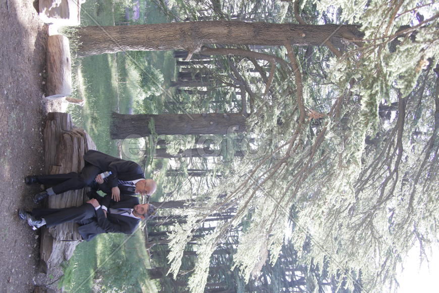 Туристические маршруты Ливана в горной местности. Два мужчины в деловых костюмах за дисскусией 