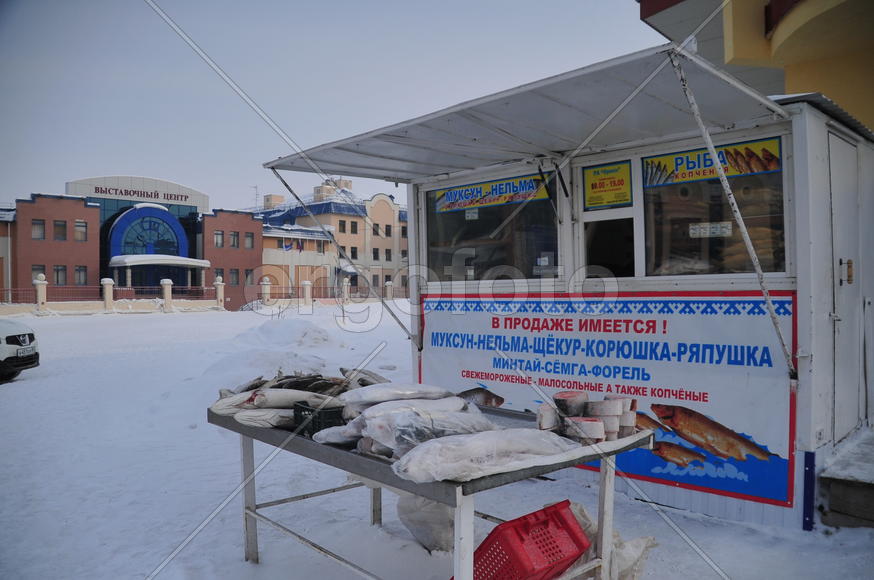 Ямало-ненецкий  автономный округ. Город Салехард, поселок Лабытнанги. фото Сергей Шахиджанян. 