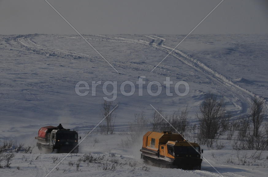 Тундра. Остатки цементного завода бывшей колонии. Ямало-ненецкий  автономный округ. Город Салехард, 