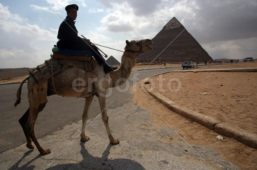 Пирамиды и человек на верблюде
