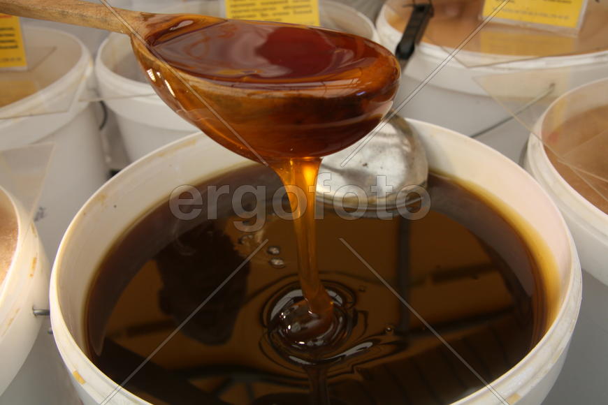 Всероссийская ярмарка меда в Коломенском