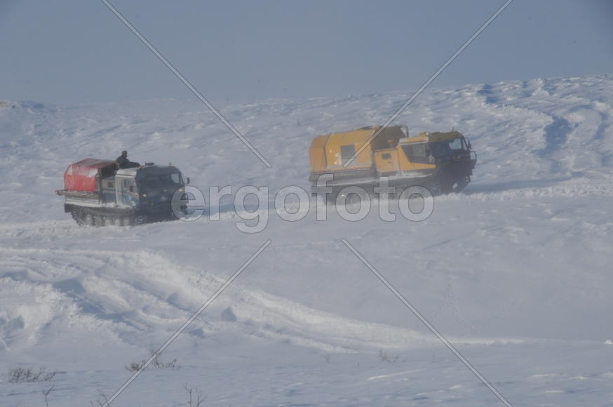 Тундра. Остатки цементного завода бывшей колонии. Ямало-ненецкий  автономный округ. Город Салехард, 