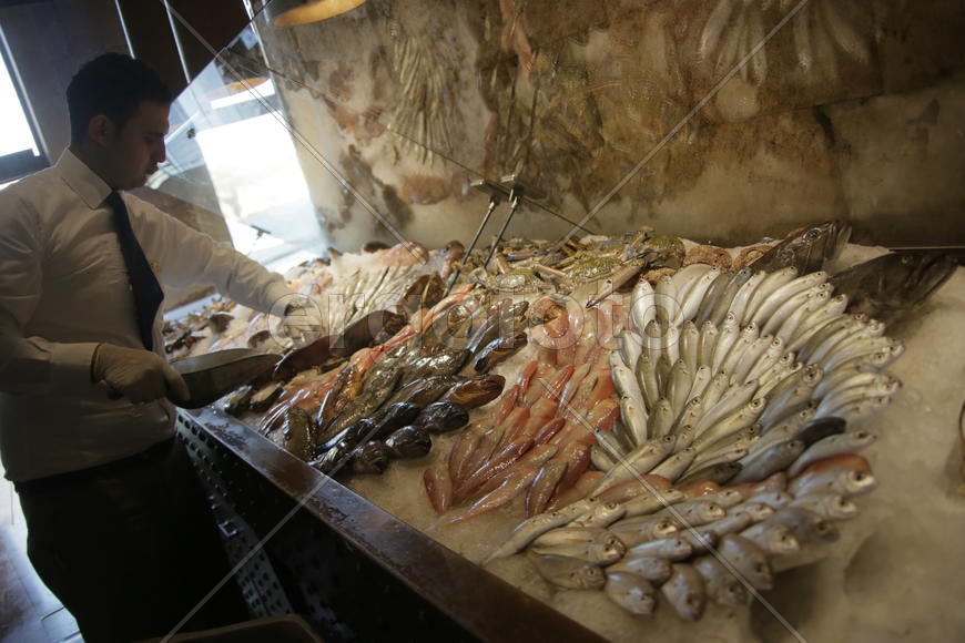 Ливанский город Триполи