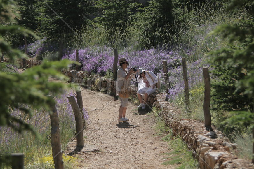 Туристические маршруты Ливана в горной местности 