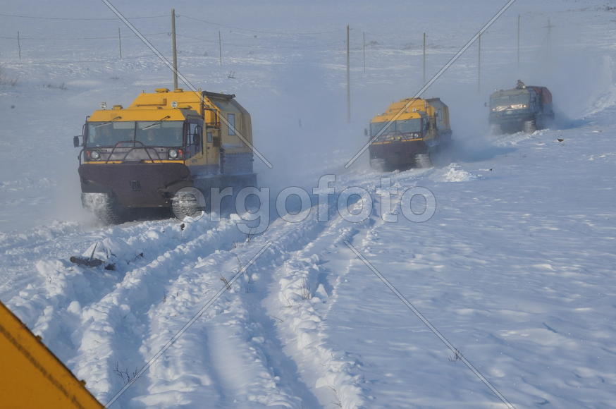 Тундра. Остатки цементного завода бывшей колонии. Ямало-ненецкий  автономный округ. Город Салехард, 