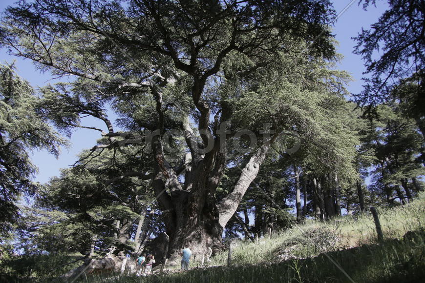 Туристические маршруты Ливана в горной местности 