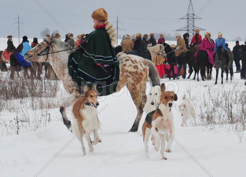 Реконструкция конной охоты с тремя борзыми и одной гончей в клубе Аванпост. фйото Сергей Шахиджанян 