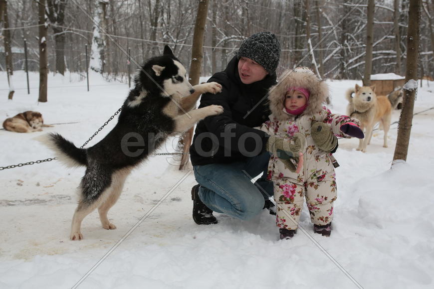 Папа Дмитрий Кухарчук с двухлетней дочерью Светланой Кухарчук и молодым хаски по кличке Верный