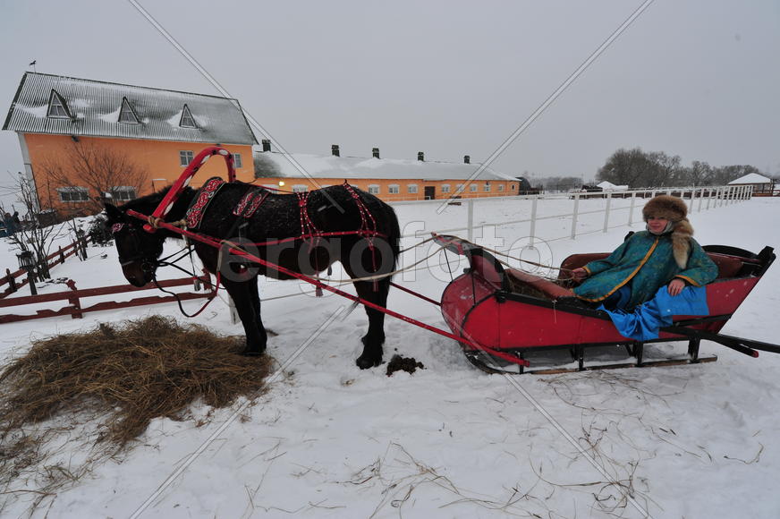 Реконструкция конной охоты с тремя борзыми и одной гончей в клубе Аванпост. фйото Сергей Шахиджанян 