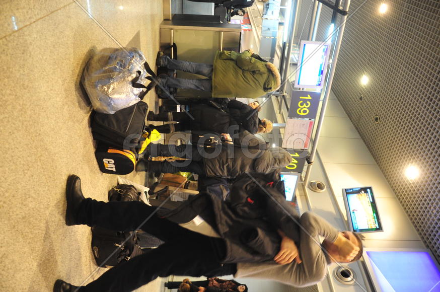 Стойки регистрации в аэропорту Домодедово. Ямало-ненецкий  автономный округ. Город Салехард, поселок