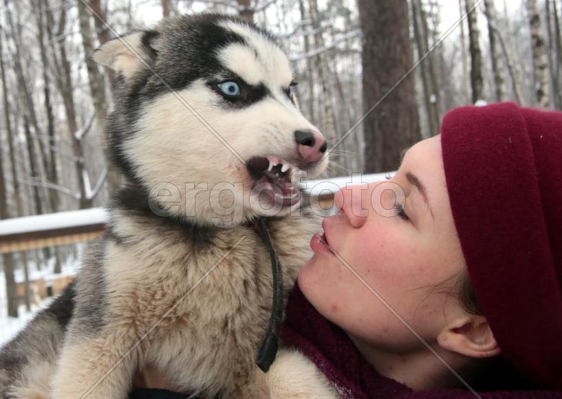 Московский художник-каллиграф Анна Коротеева с щенком Хаски по кличе Клёпа в парке Хаски в парке Сок