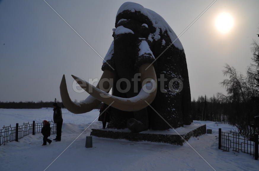 Ямало-ненецкий  автономный округ. Город Салехард, поселок Лабытнанги. фото Сергей Шахиджанян. 