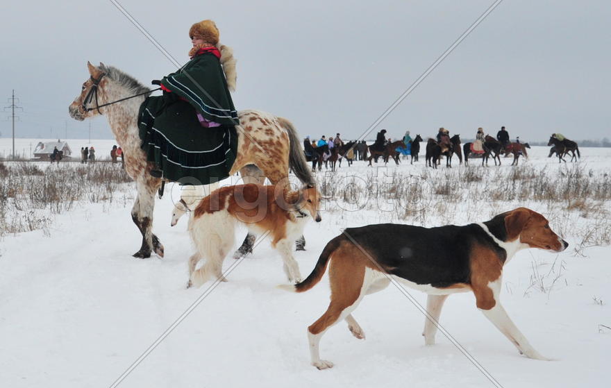 Реконструкция конной охоты с тремя борзыми и одной гончей в клубе Аванпост. фйото Сергей Шахиджанян 