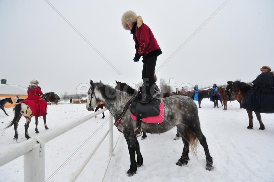 Реконструкция конной охоты с тремя борзыми и одной гончей в клубе Аванпост. фйото Сергей Шахиджанян 
