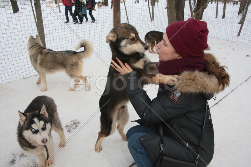 Московский художник-каллиграф Анна Коротеева с щенком Хаски по кличе Рыжик в парке Хаски в парке Сок