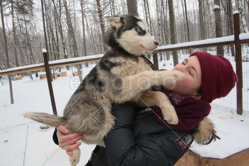 Московский художник-каллиграф Анна Коротеева с щенком Хаски по кличе Клёпа в парке Хаски в парке Сок
