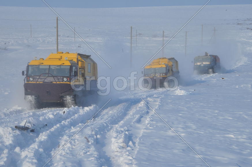 Тундра. Остатки цементного завода бывшей колонии. Ямало-ненецкий  автономный округ. Город Салехард, 