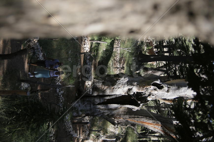 Туристические маршруты Ливана в горной местности 