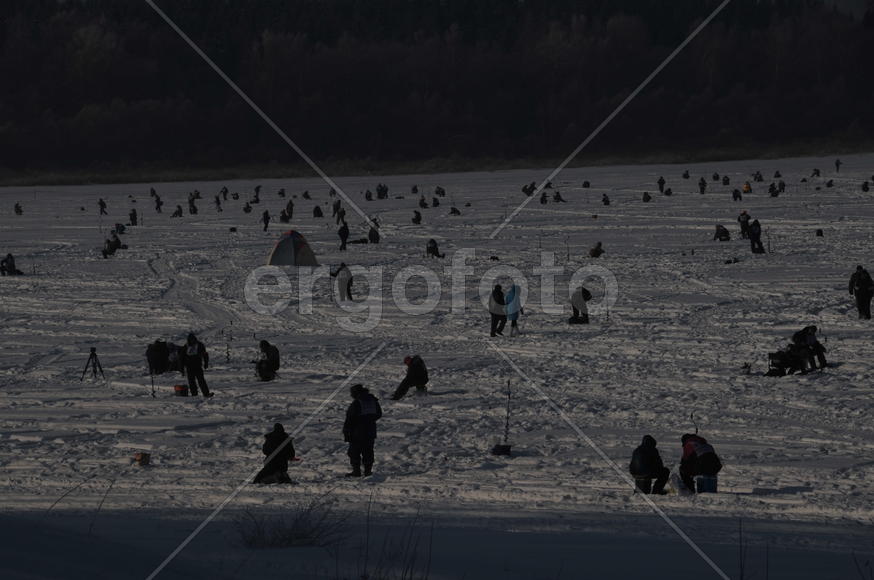 Конкурс Народная рыбалка в Подмосковье 2