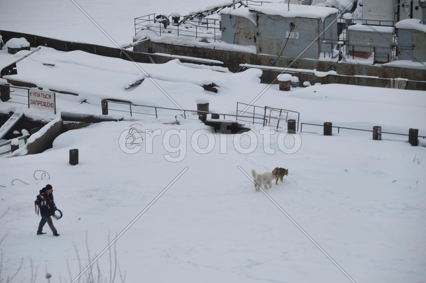¬иды на реку ќбь и порт. ямало-ненецкий  автономный округ. √ород —алехард, поселок Ћабытнанги. фото 