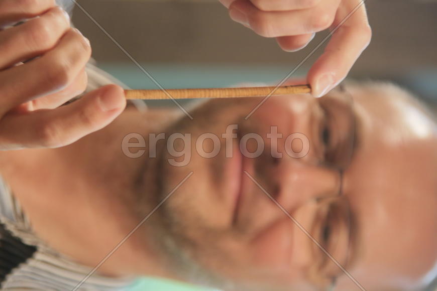 Ветка 300-летней лиственницы в руках