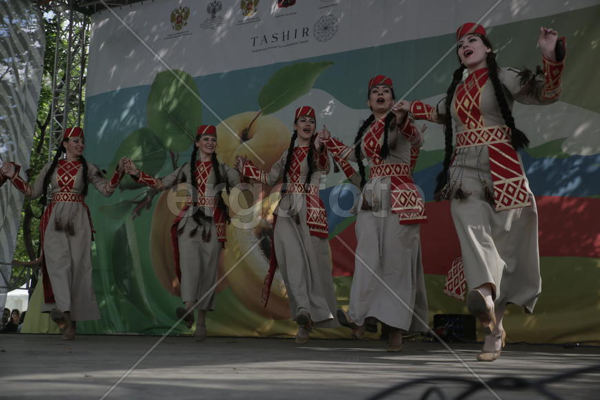 Ансамбль "Цветы Армении",. Праздник "Абрикос" в парке Музеон, 10 июля 2016 года. 