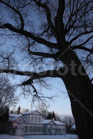 Музей-усадьба Абрамцево 21