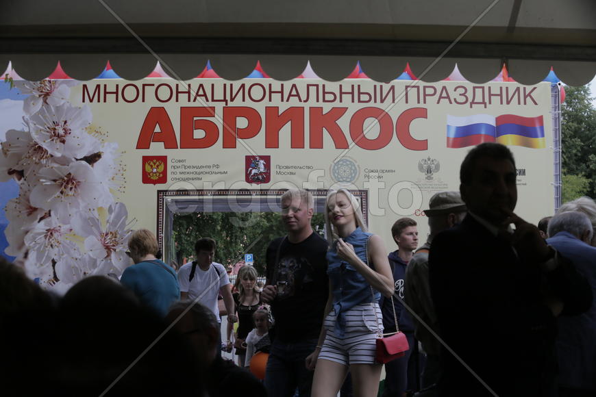 Праздник "Абрикос" в парке Музеон, 10 июля 2016 года. 