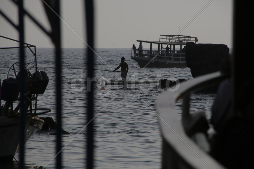 Рыба на островке суши с удочкой. Лиан 