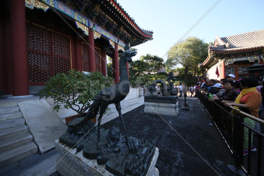 Пекин.  Храм Неба