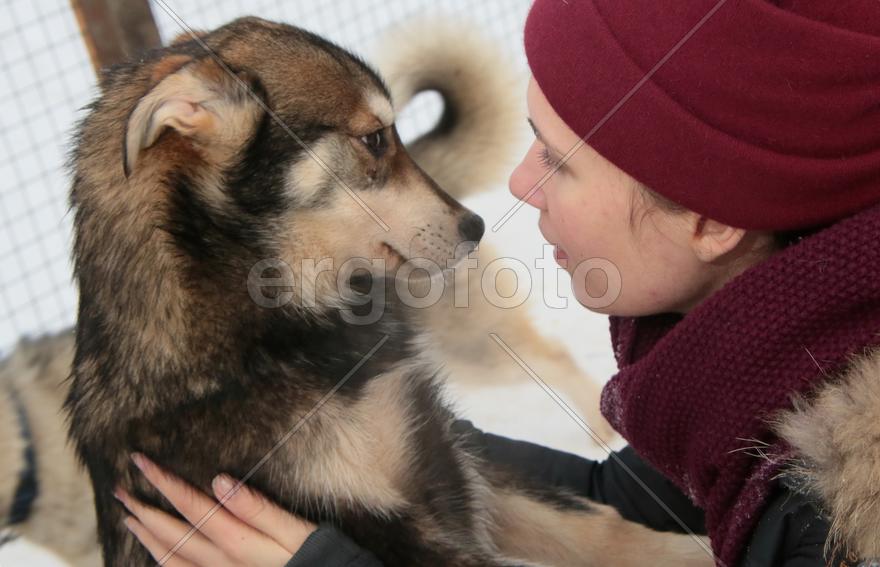 Московский художник-каллиграф Анна Коротеева с щенком Хаски по кличе Рыжик в парке Хаски в парке Сок