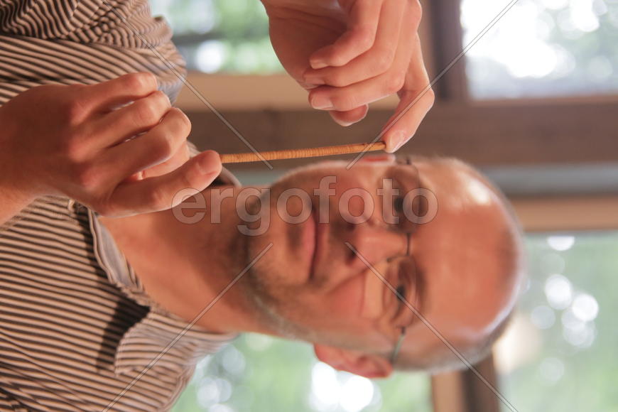 Ветка 300-летней лиственницы в руках