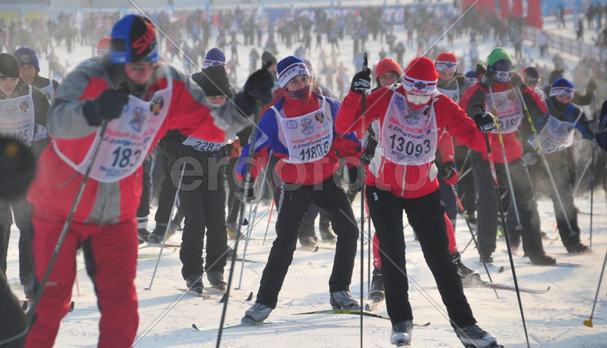 Лыжная гонка Лыжня-России-2012 в подмосковной Яхроме. фото Сергей Шахиджанян 12 февраля 2012 года. 