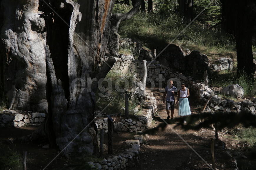 Туристические маршруты Ливана в горной местности 