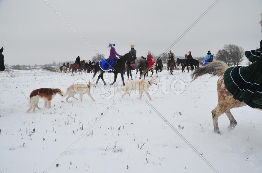 Реконструкция конной охоты с тремя борзыми и одной гончей в клубе Аванпост. фйото Сергей Шахиджанян 
