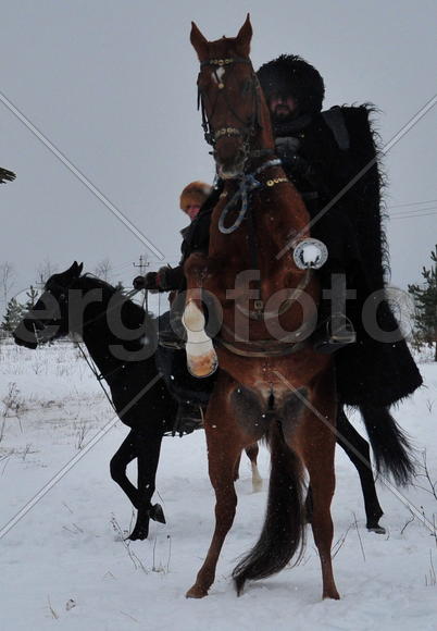 Реконструкция конной охоты с тремя борзыми и одной гончей в клубе Аванпост. фйото Сергей Шахиджанян 