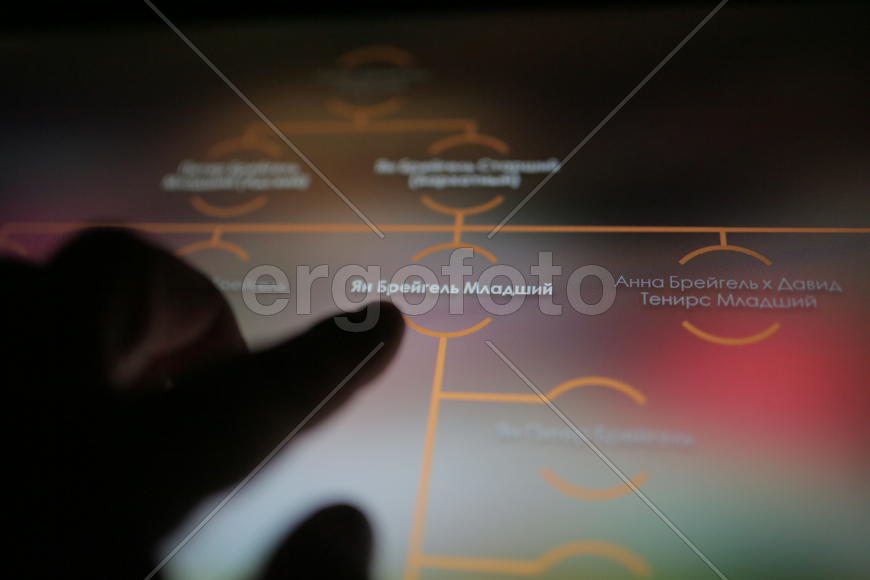 Выставка Младшие Брейгели, картины из собрания Констаантина Мауергауза в ГМИИ им.А.С.Пушкина. фото С