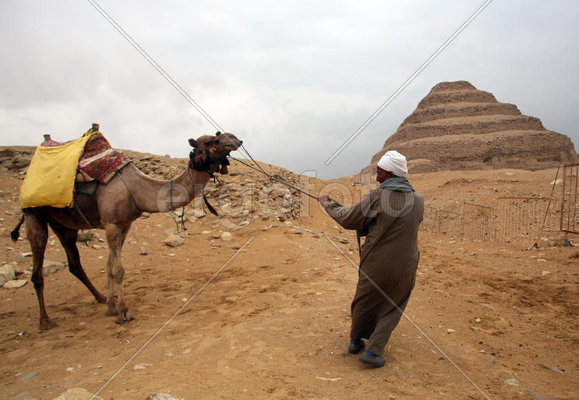 Человек и верблюд