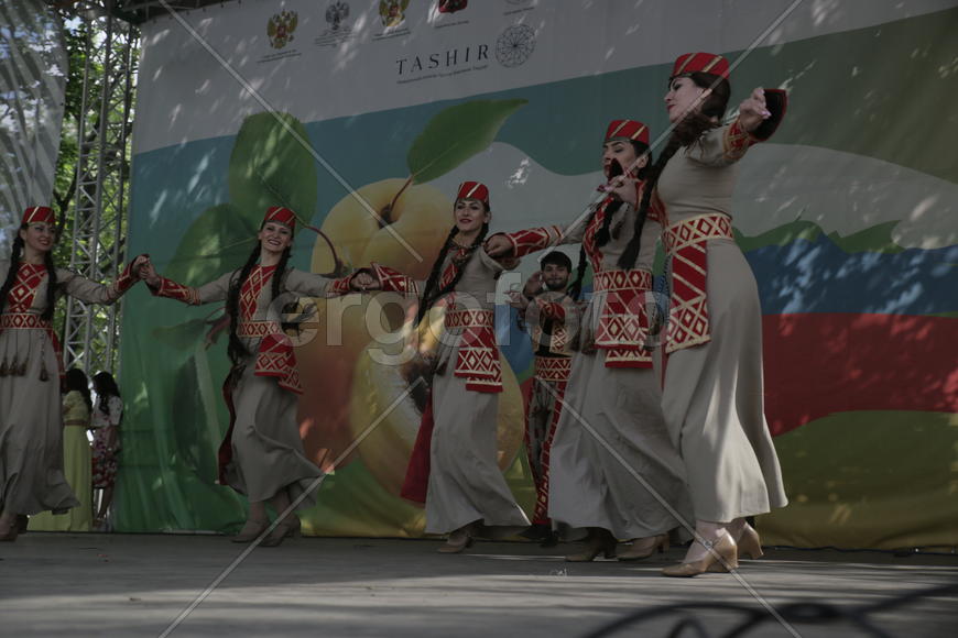 Ансамбль "Цветы Армении",. Праздник "Абрикос" в парке Музеон, 10 июля 2016 года. 